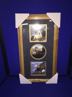 3-Photo Canadian Ram Picture, Wood Frame.