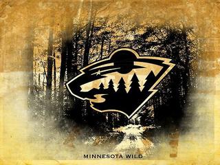 Into the Wild
Mats Zuccarello - Minnesota Wild
Kevin Fiala - Minnesota Wild
Marcus Foligno - Minnesota Wild
Joel Eriksson Ek - Minnesota Wild
Jordan Greenway - Minnesota Wild