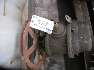 (2) Radicon Gear Pumps.