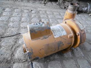 Franklin Electric 22/11 Amp 2" Water Pump.