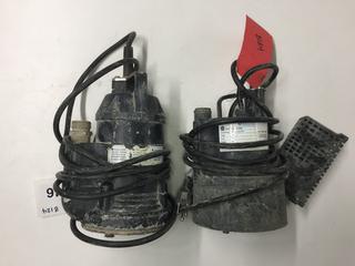 (2) Submersible Pumps.
