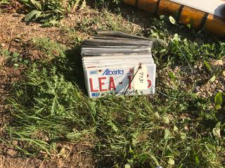 Selling Off- Site -  Bundle of License Plates Appproximately (35) Not Legal For Road Use.  Location - 527 North 200 East, Raymond, AB -  For Further Information Please Call Chris 403-308-1161.