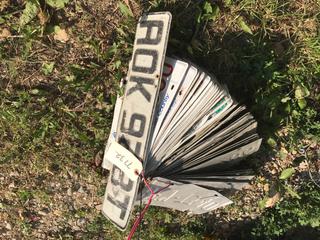 Selling Off- Site -  Bundle of License Plates Appproximately (35) Not Legal For Road Use.  Location - 527 North 200 East, Raymond, AB -  For Further Information Please Call Chris 403-308-1161.