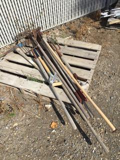 Quantity of Rakes, Pick Axe, Hoe & Pitch Forks.