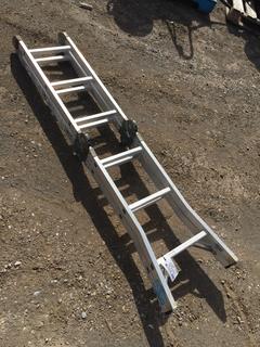 12' Articulated Ladder.