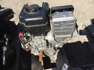 Briggs & Stratton Motor.