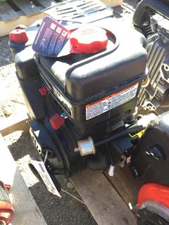 Briggs & Stratton Professional Series 342cc Motor.