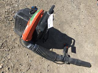 Echo PB-755ST Gas Blower.