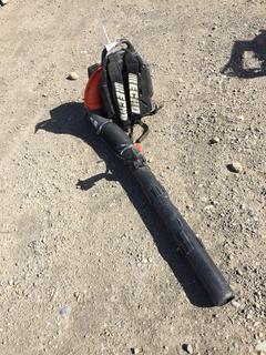Echo PB-755ST Gas Blower.