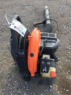 Echo PB-755ST Gas Blower.