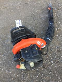 Echo PB-755ST Gas Blower.