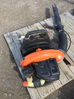 Echo PB-755ST Gas Blower.