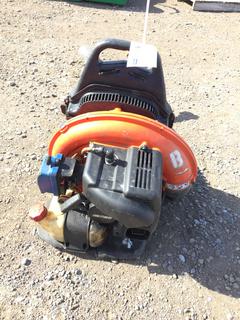 Echo PB-755ST Gas Blower.