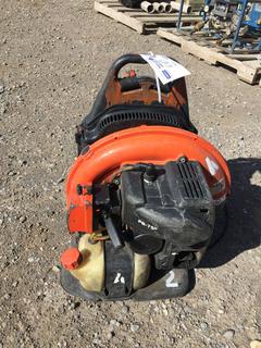 Echo PB-755ST Gas Blower.