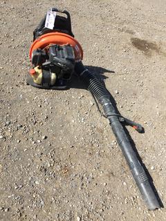 Echo PB-755ST Gas Blower.