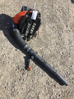 Echo PB-755ST Gas Blower.