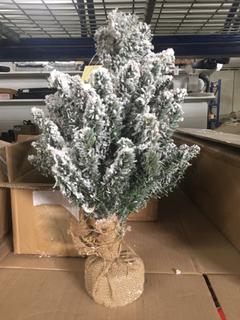 Vickerman 24" Flocked Anoka Pine w/ Burlap Base.