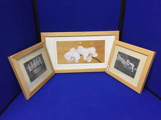 (3) Anne Geddes Prints. 12" x 10" / 22" x 12".