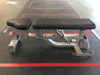 Hammer Strength Adjustable Bench.