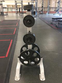 Equalizer Vertical Weight Plate Rack c/w Assorted Weight Plates.