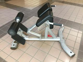 Life Fitness Model SBE H102-101 Back Extension Machine. S/N 101127504346