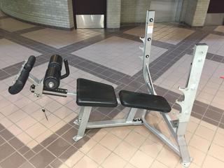 Hammer Strength Model ODBA02 Olympic Decline Bench.  S/N 3513