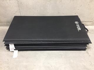 (10) Apple Athletics Workout Mats.