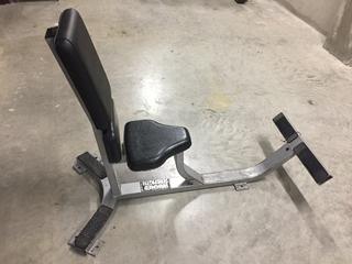 Hammer Strength Upright Bench, Not Adjustable.