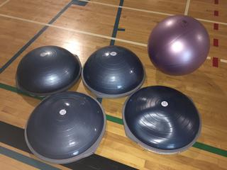 (4) Bosu Balance Trainers & (1) 21" Exercise Ball.