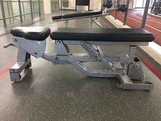 Hammer Strength Adjustable Bench.