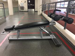 Life Fitness Signature Series Adjustable Decline AB Bench, Seat Cracked.