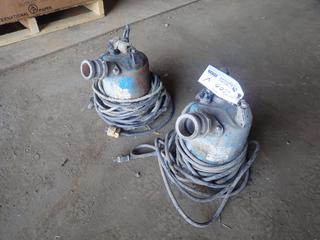 (2) 2in Submersible Pumps, 120V