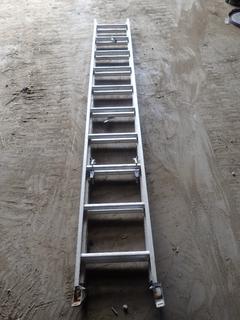 Louisville 20ft Extension Ladder