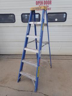 Featherlite 6ft Step Ladder