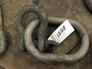 (1) 1" Shackle w/Lifting Ring.