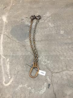3/8" Grade 80, 4'9" Lifting Chain w/Vertical Lifts.