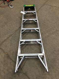 5 Rung Featherlite Ladder.