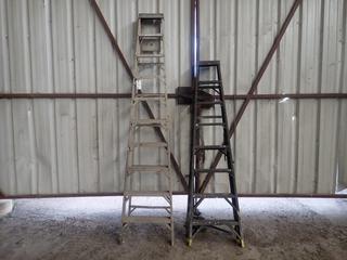 (1) 10' Featherlite Aluminum & (1) 8' Fiberglass Step Ladders, Requiring Repairs. Note:  Lot Only Includes Steel Marked with  Blue Ribbon.