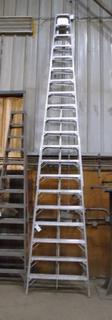 9 Rung Aluminum Ladder.