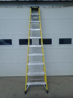 Featherlite 10ft Step Ladder