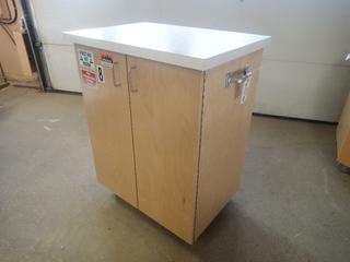 32in X 22in X 42in Portable Cabinet C/w First Aid Kit, Fire Extinguisher, Hard Hat, Caution Tape And Ear Plugs 