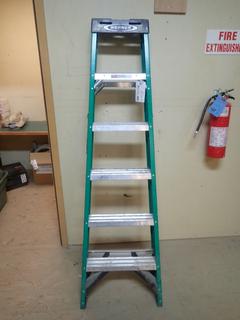 Werner 6ft Step Ladder