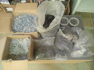 Qty Of Nuts, Bolts, Edge Clips And Vinyl Board Clips