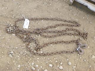 20 FT x 3/8 In. Chain