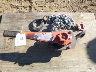(1) Series 653 3 Ton Chain Lever
