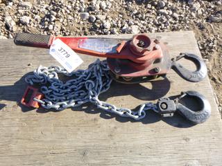 (1) Series 653 3 Ton Chain Lever