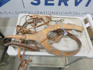 Horse Bridle w/ Extra Bit and Martingale (E2)