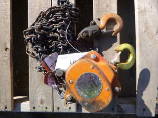 Westward 1 Ton Chain Hoist