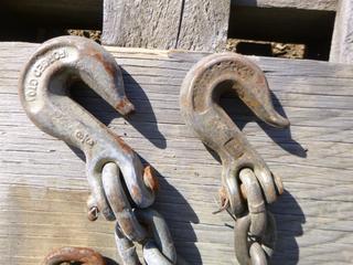 (2) Chains w/ Hooks