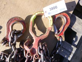 Hoisting Chains